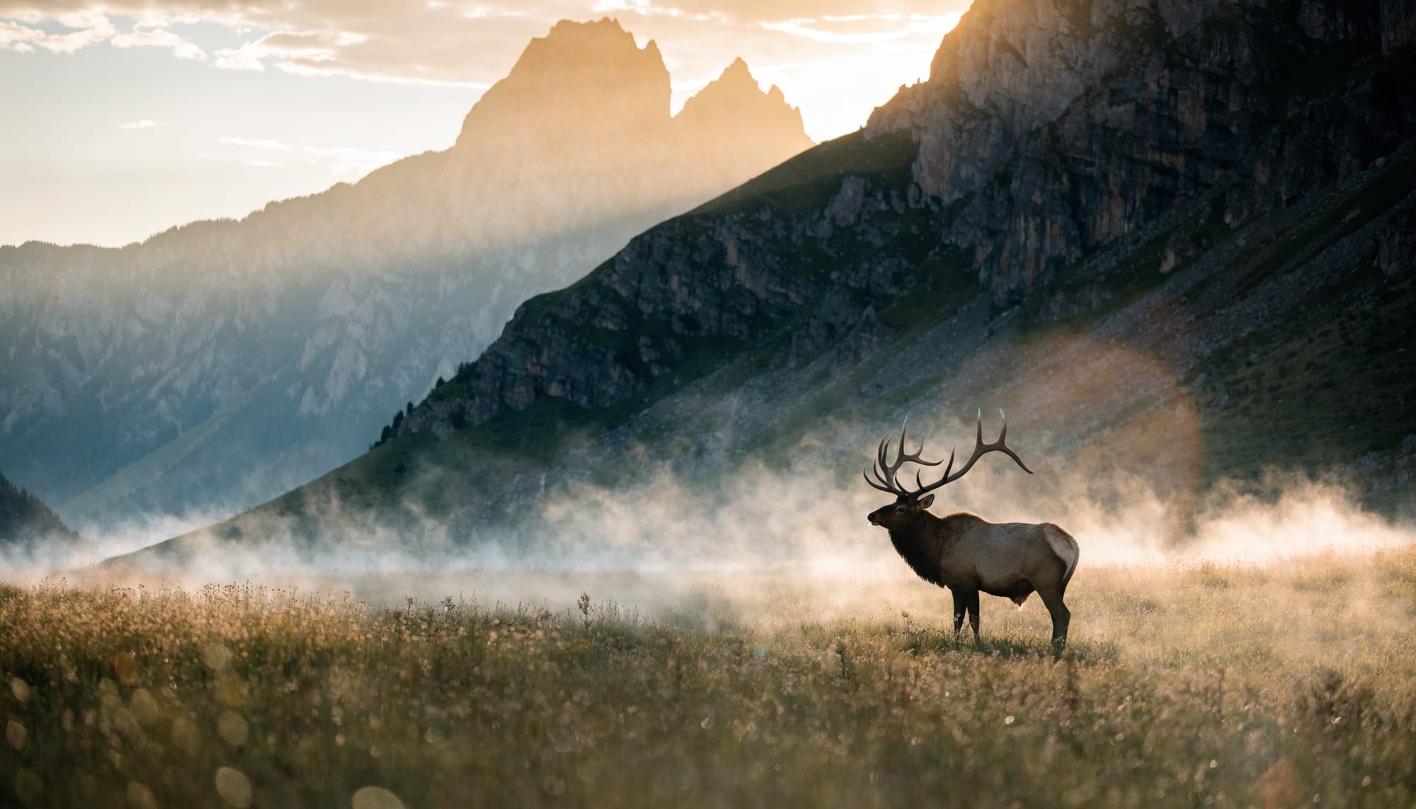 Stone Fork Outfitters